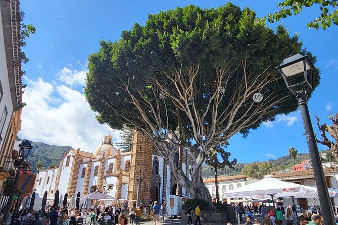 private-tour-from-the-port-of-las-palmas-to-teror-firgas-arucas