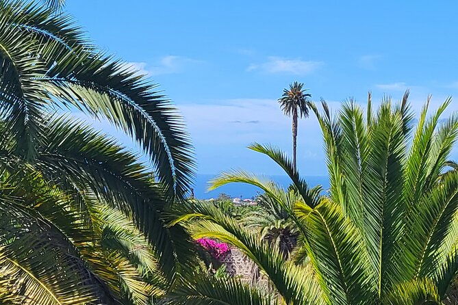 private-tour-from-the-port-of-las-palmas-to-teror-firgas-arucas
