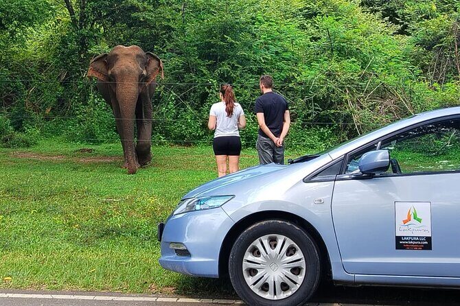 Private Tour from Weligama to Ella with Udawalawe Safari - FAQ