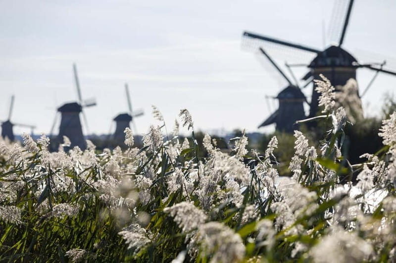 Private Tour Frrom Rotterdam: Kinderdijk&Amsterdam in a Day - The Breakdown: Why This Tour Works for Different Travelers
