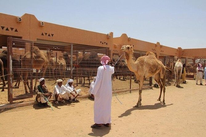 Private Tour: Full Day Al Ain City Tour From Dubai - How the Day Unfolds: A Closer Look at the Itinerary