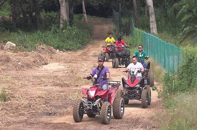 Private Tour: Full Day Langkawi Durian Perangin Waterfall Nature Tour Including ATV Adventure - Insights from Reviewer Experiences