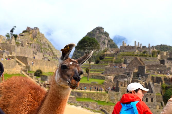 private-tour-full-day-machu-picchu-with-lunch