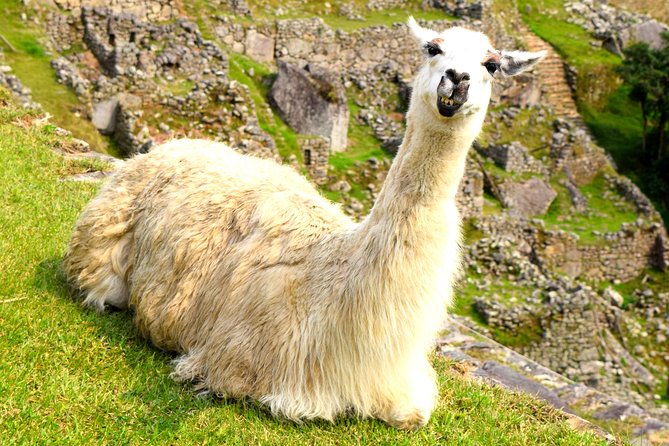 private-tour-full-day-machu-picchu-with-lunch