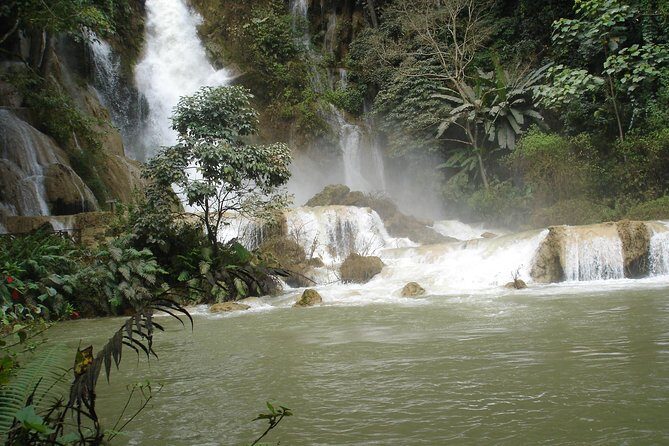 Private Tour Full-day Morning Market, Villages and Scenic Kuang Si Waterfall - The Bear Sanctuary: A Heartwarming Visit