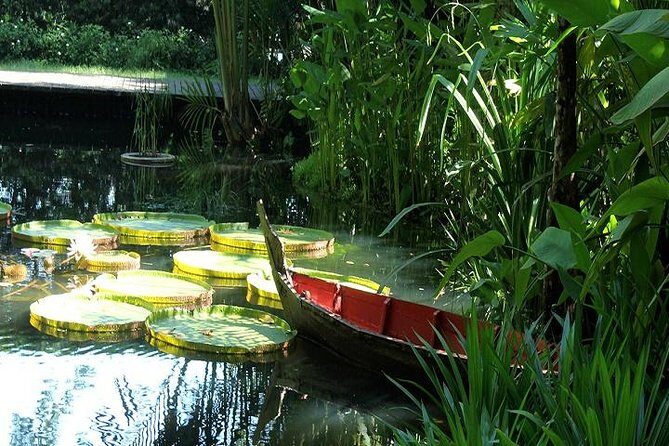 Private Tour: Full Day Round Penang Island Tour - Key Points