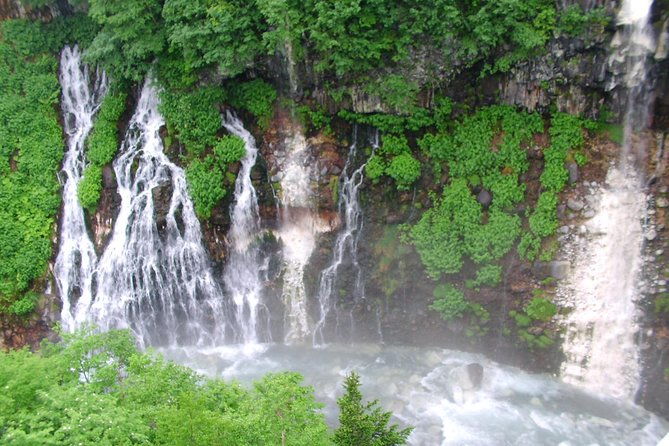 private-tour-full-day-walking-tour-with-professional-local-guide-in-yakushima-island