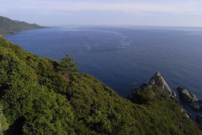 private-tour-full-day-walking-tour-with-professional-local-guide-in-yakushima-island