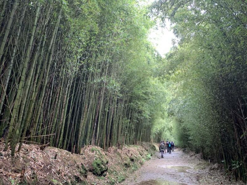 Private Tour Furnas: Furnas Lake Hike & Terra Nostra Park - Practical Details: What’s Included and How It Goes