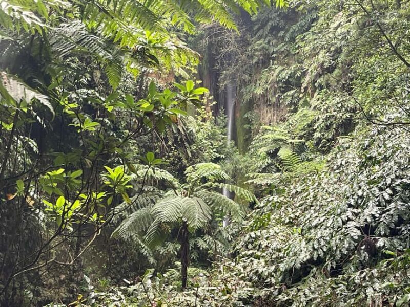 Private Tour Furnas: Furnas Lake Hike & Terra Nostra Park - FAQ