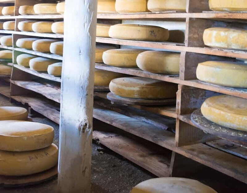 Private tour Geneva-Gruyère's: chocolate and cheese factory - The Sum Up