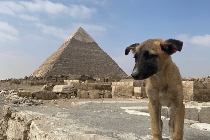 Private Tour Giza Pyramids, Egyptian Museum, Bazar And Lunch - Final thoughts: Is this tour right for you?