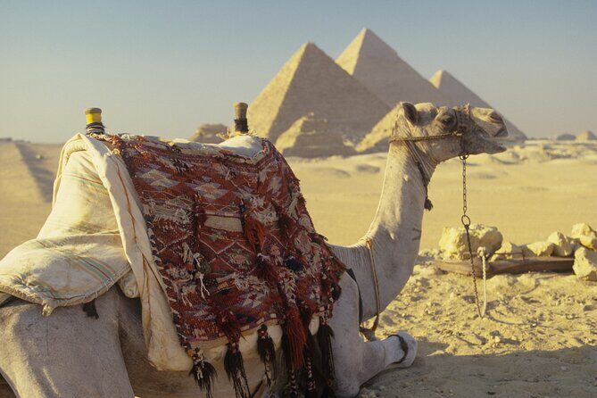 Private Tour Giza Pyramids, Sakkara, Memphis, Lunch & Camel Rides - Who Should Consider This Tour?