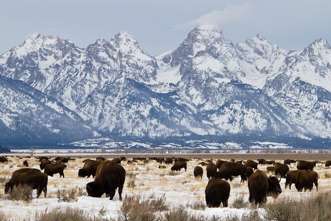 private-tour-grand-teton-national-park