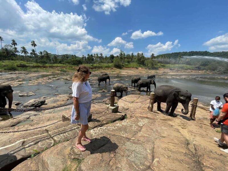 private-tour-guide-in-sri-lanka-5-days-tour-package