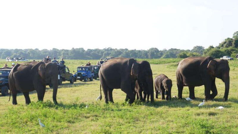 private-tour-guide-in-sri-lanka-5-days-tour-package