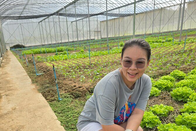 Private Tour Guide with Private Car - Authentic Local Experience