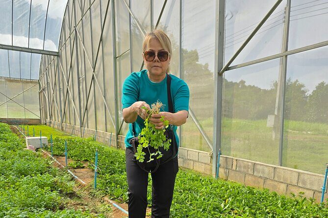 Private Tour Guide with Private Car - Pricing and Value