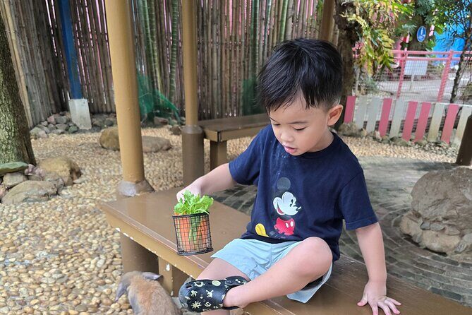 Private Tour Guide with Private Car - What Travelers Have Said