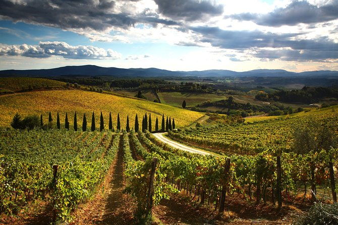 private-tour-guided-hike-in-tuscany-with-transport-from-siena-2