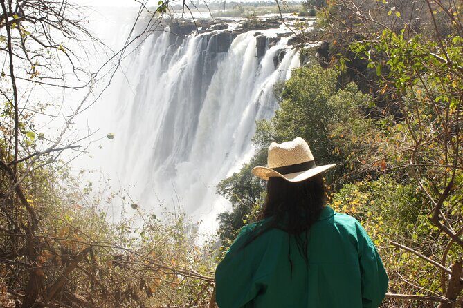 Private Tour- Guided Tour Of The Falls - The Experience: What You Can Expect from the Tour
