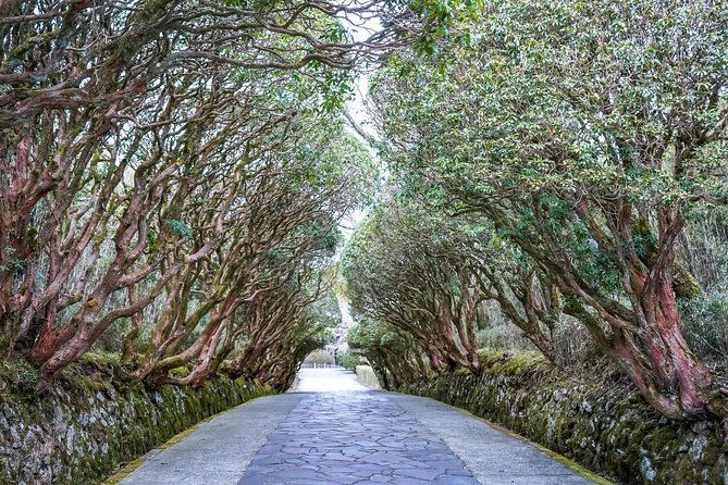 private-tour-hakone-day-trip-a-tour-to-explore-all-must-sees