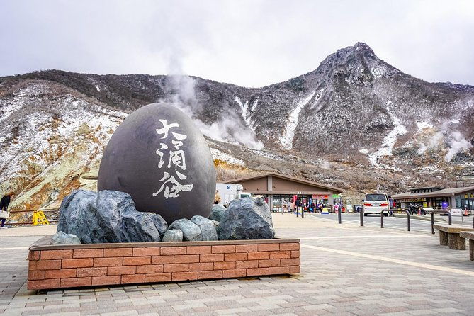 private-tour-hakone-day-trip-a-tour-to-explore-all-must-sees