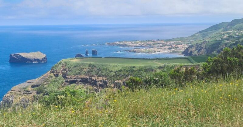 private-tour-half-day-sete-cidades-and-pineapple-production