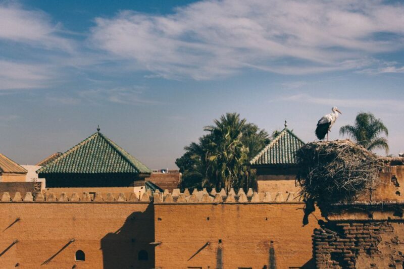 Private Tour: Half-Day Sightseeing Tour of Marrakech - A Closer Look at the Marrakech Private Sightseeing Tour