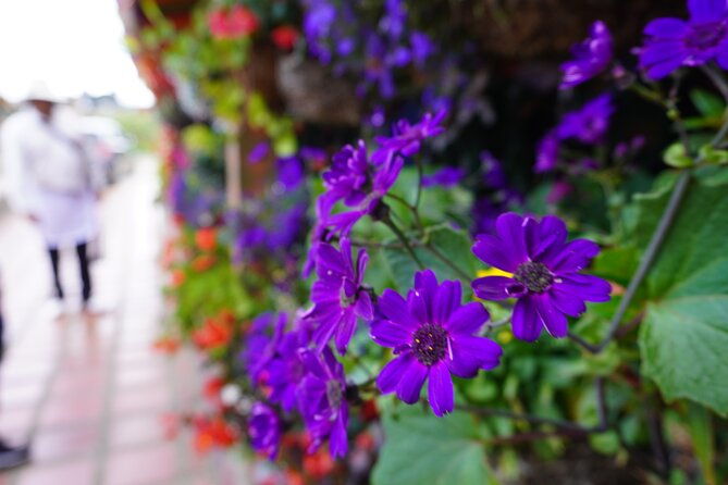 private-tour-heart-fair-flowers-adventure-park-flower-farm