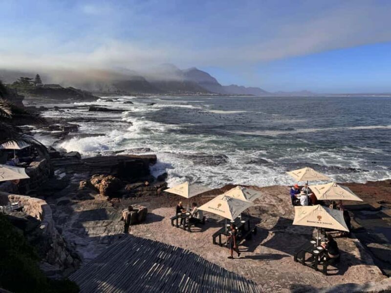 Private Tour: Hermanus- Boat Based Whale Watching Experience - Who Will Love This Tour?