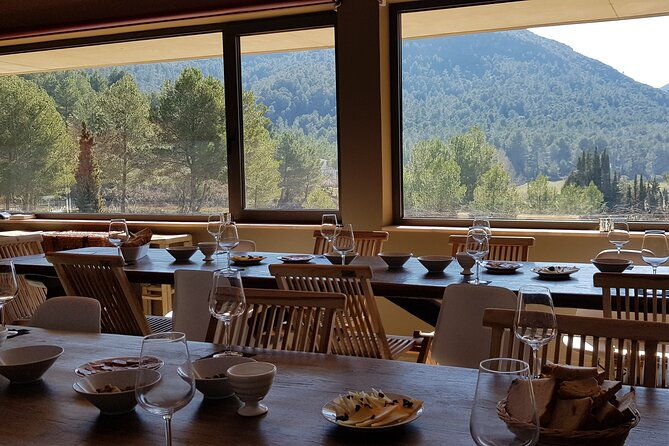 private-tour-hike-and-wine-tasting-at-the-penedes