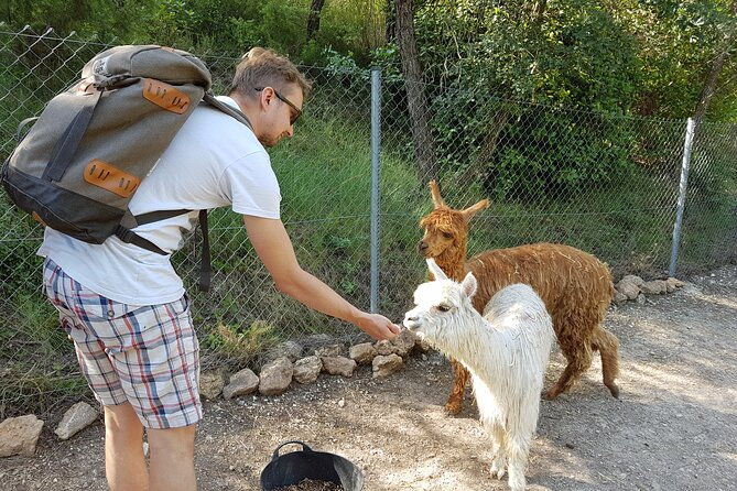 private-tour-hike-and-wine-tasting-at-the-penedes