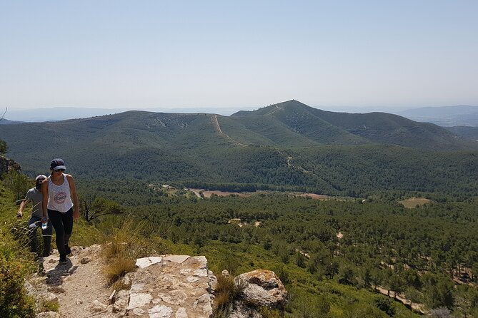 private-tour-hike-and-wine-tasting-at-the-penedes