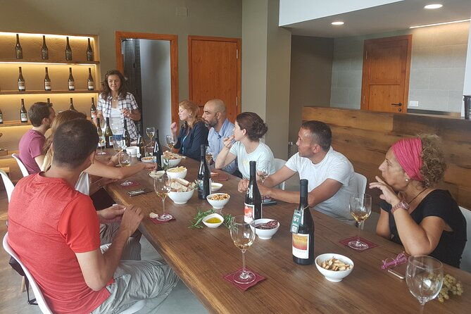 private-tour-hike-and-wine-tasting-at-the-penedes