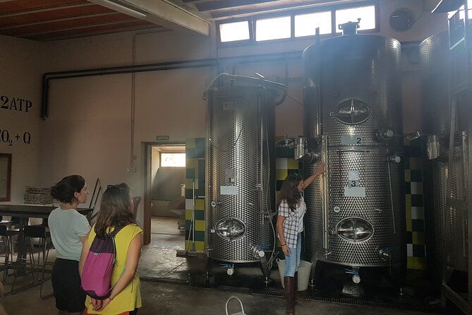 private-tour-hike-and-wine-tasting-at-the-penedes