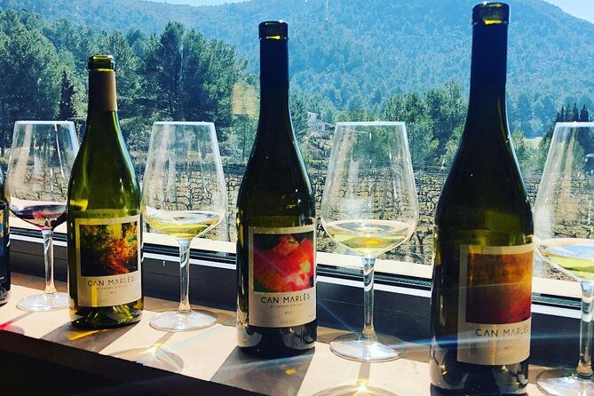 private-tour-hike-and-wine-tasting-at-the-penedes