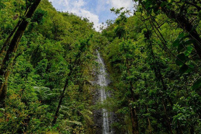 private-tour-hike-diamond-head-hawaiian-waterfall