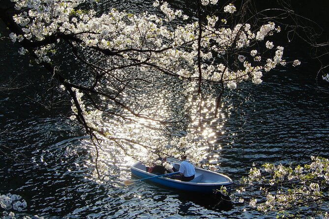 private-tour-history-art-and-nature-at-the-imperial-palace