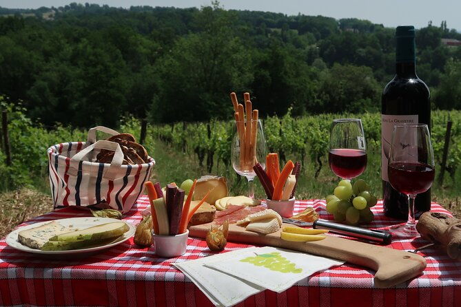 private-tour-in-2cv-in-the-vineyards-with-tasting-and-picnic
