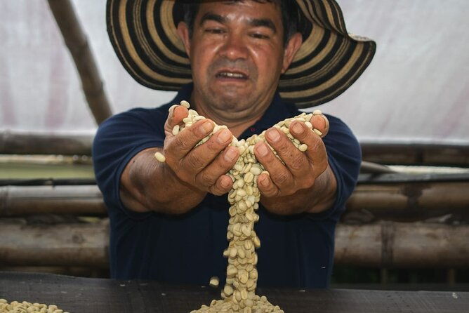 private-tour-in-an-authentic-ecological-local-coffee-finca