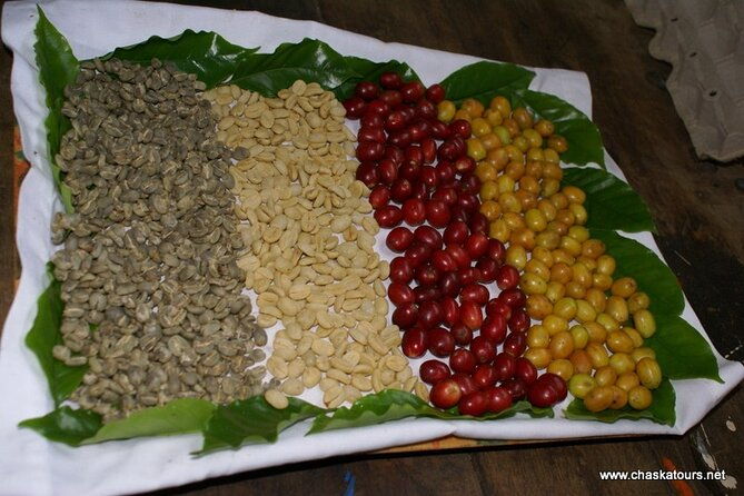 private-tour-in-an-authentic-ecological-local-coffee-finca