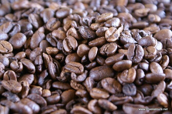 private-tour-in-an-authentic-ecological-local-coffee-finca