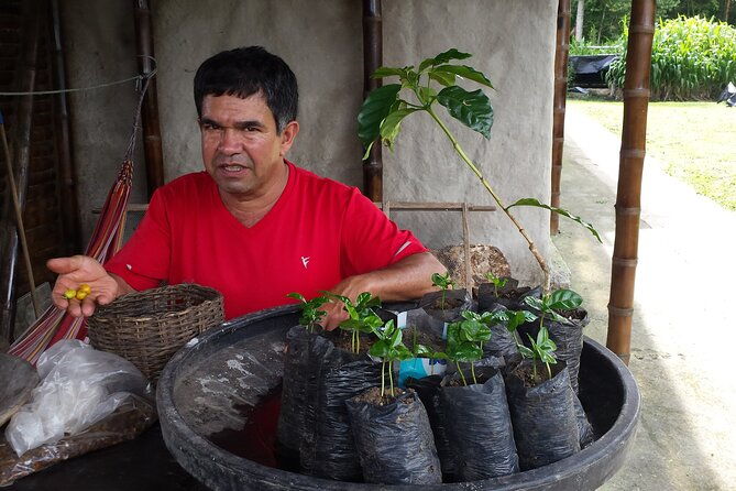 private-tour-in-an-authentic-ecological-local-coffee-finca
