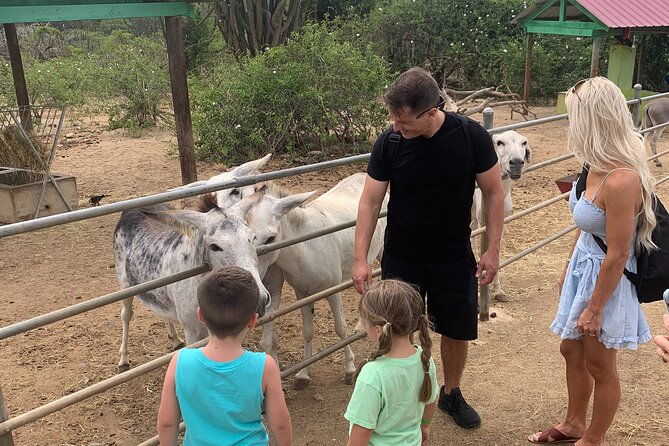 private-tour-in-aruba