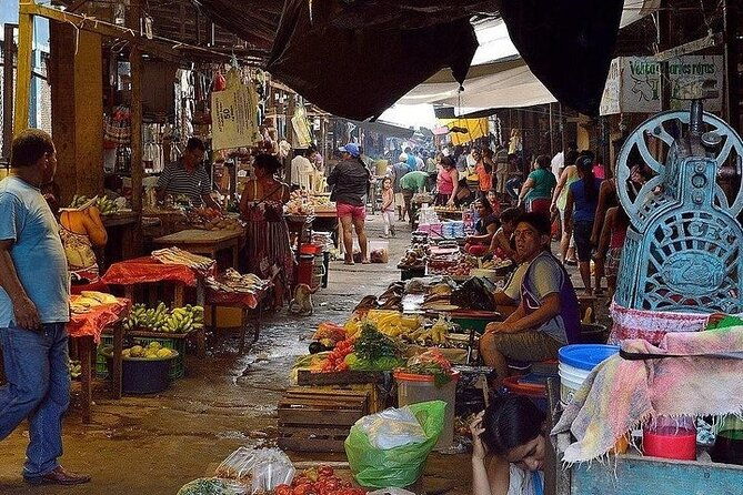 private-tour-in-belen-market-floating-city-and-amazon-river
