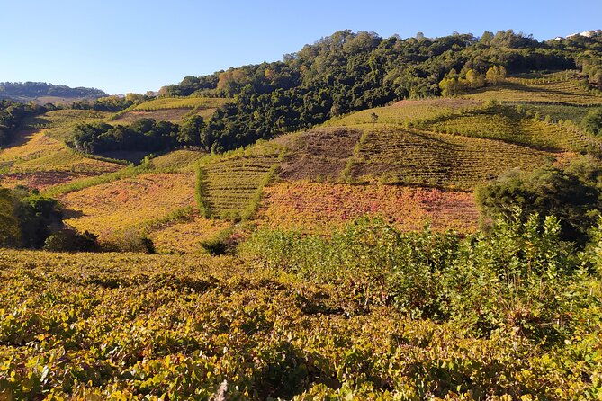 private-tour-in-bento-carro-and-exclusive-guide-at-your-disposal