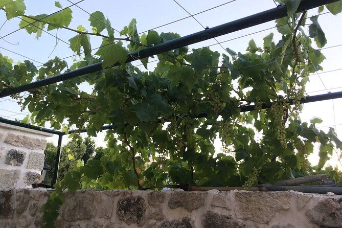 private-tour-in-chania-monasteries