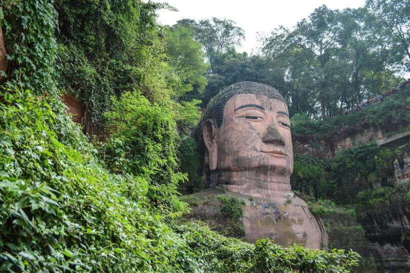 private-tour-in-chengdu-panda-base-and-leshan-giant-buddha