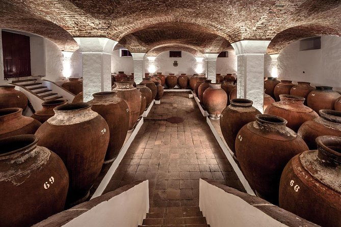 private-tour-in-evora